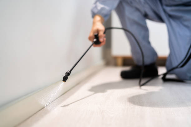 Licensed Rodent Control service in Clayton, DE - Nex Pest Control