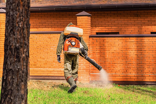 Trusted Rodent Control service in Clayton, DE - Nex Pest Control